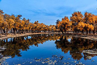 《无主之地4》“厕所幽默”将大大减少 前作太过份了